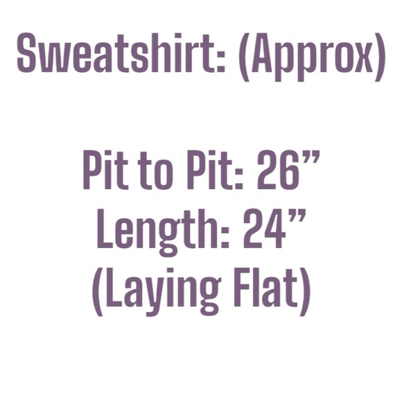 Aviator Nation Unisex VINTAGE LOGO RELAXED PULLOVER HOODIE - FADED GRAPE | NEW💜 - Picture 15 of 16